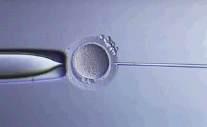 Ginecologia Tijuana - Centro de Fertilidad del Prado - Staff
