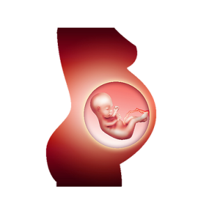 Clínica de Laparoscopía Ginecológica - Tijuana Ginecologist/Ginecologia Tijuana, Dr. Daniel Sánchez, ginecologos, laparoscopy, infertilidad, infertility, ginecology