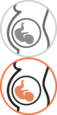 Transplant Services